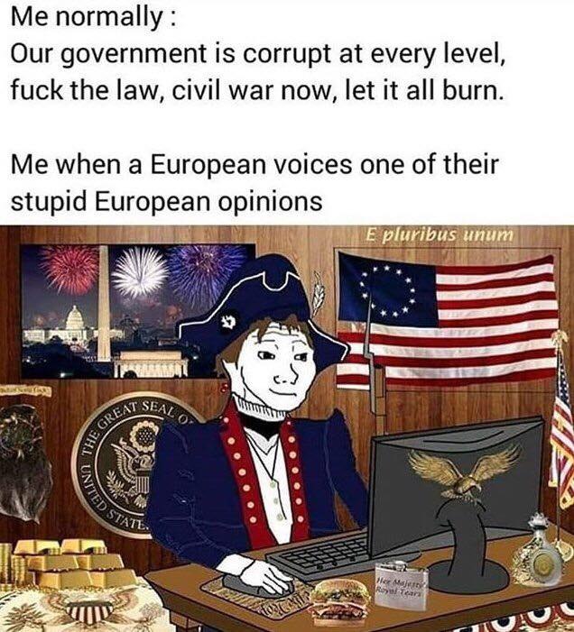 Me normally Our government is corrupt at every level, fuck the law, civil war now, let it all burn. Me when a European voices one of their stupid European opinions 5 Aer у