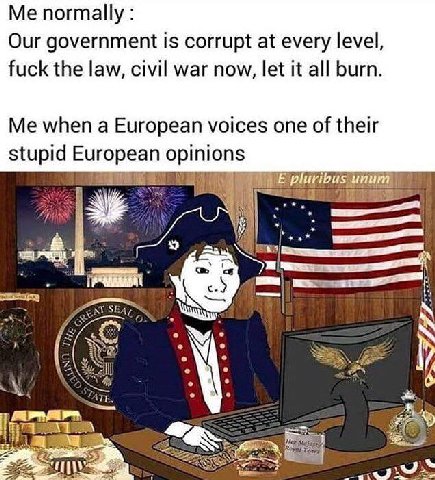 Me normally Our government is corrupt at every level, fuck the law, civil war now, let it all burn. Me when a European voices one of their stupid European opinions 5 Aer у