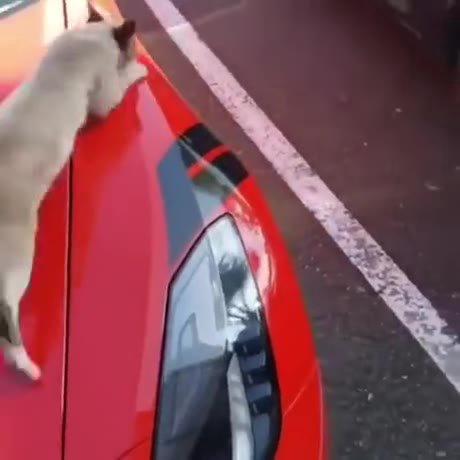 А