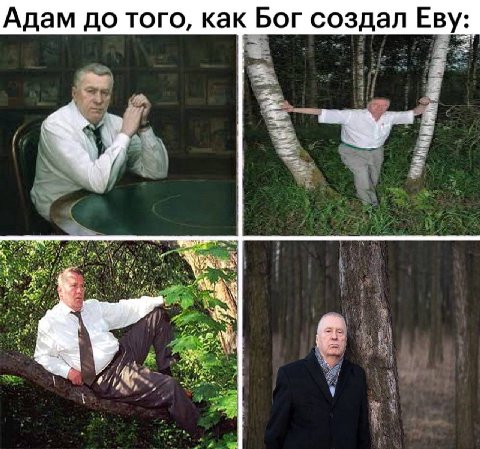 Адам до того, как Бог создал Еву: