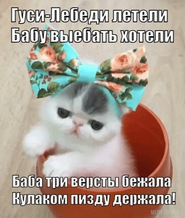 Гуси и Бабувые отели Баба три версты! бежала пизду держала!