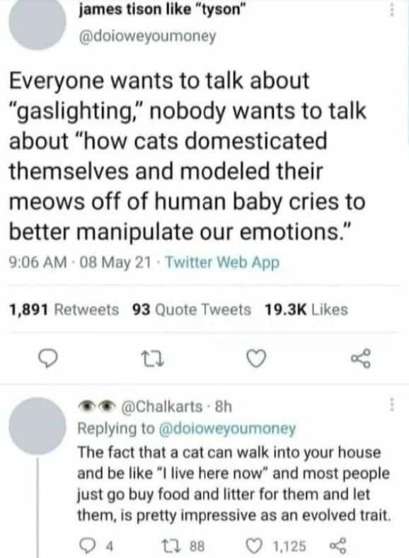 james tison like “tyson” @doioweyoumoney Everyone wants to talk about “gaslighting,” nobody wants to talk about “how cats domesticated themselves and modeled their meows off of human baby cries to bet