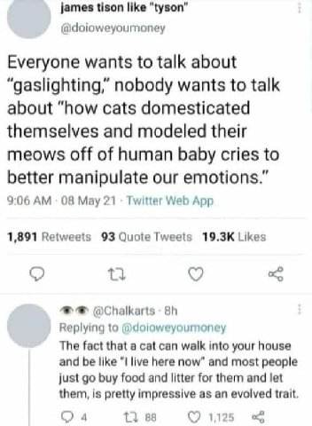 james tison like “tyson” @doioweyoumoney Everyone wants to talk about “gaslighting,” nobody wants to talk about “how cats domesticated themselves and modeled their meows off of human baby cries to bet