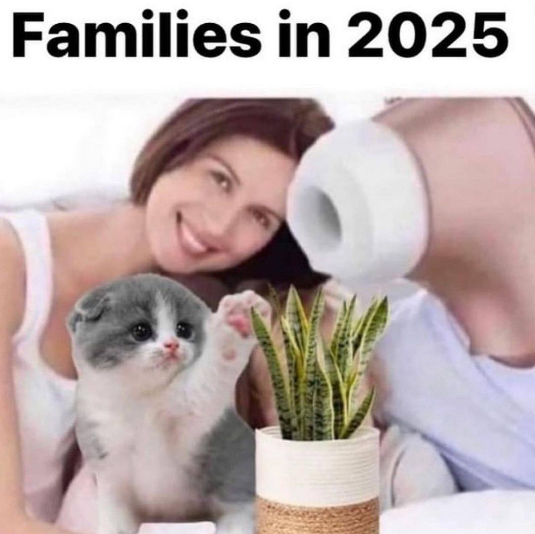 Families 2025