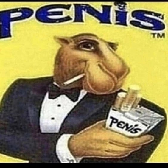 = > в = 1 ™ ий 4 oy” é fils