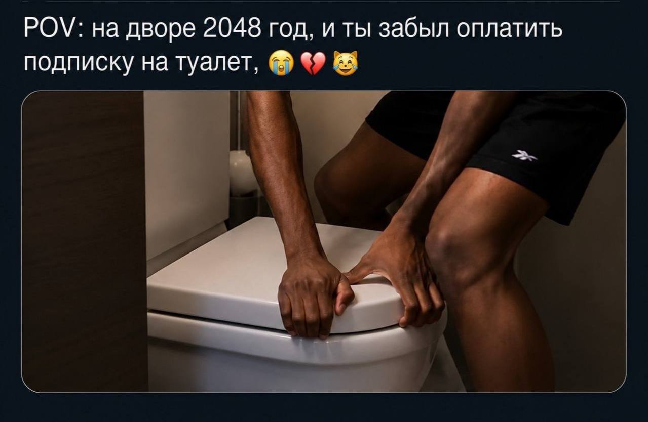 POV: на дворе 2048 год, и ты забыл оплатить подписку на туалет,