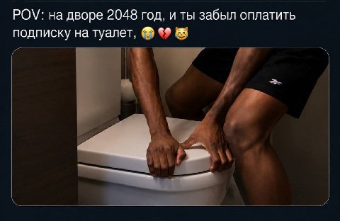 POV: на дворе 2048 год, и ты забыл оплатить подписку на туалет,