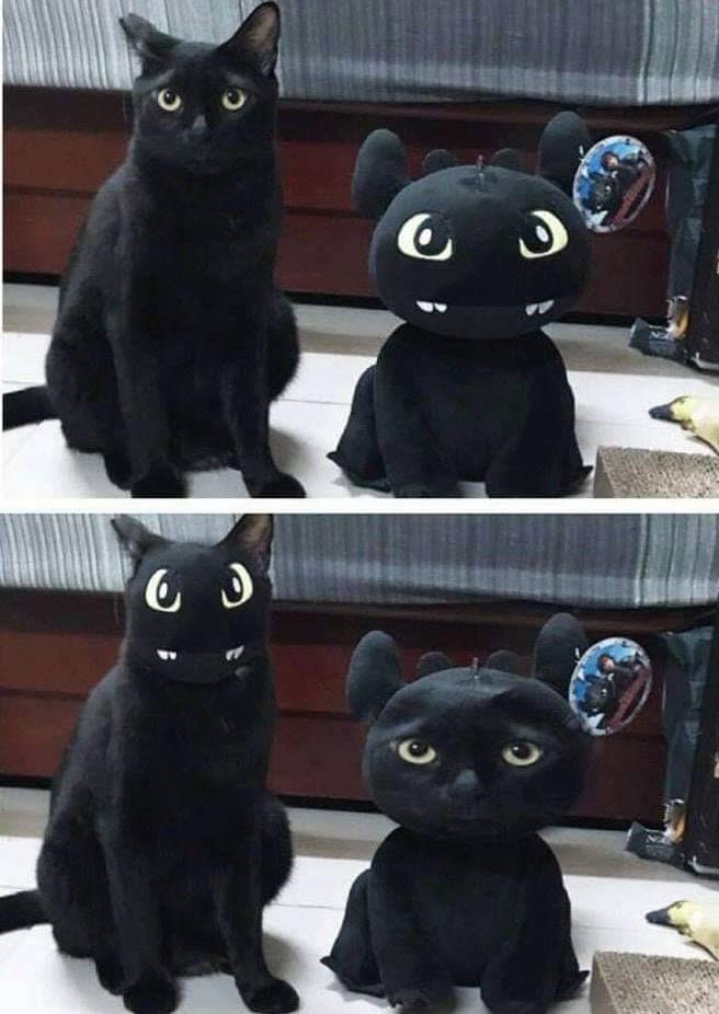 с