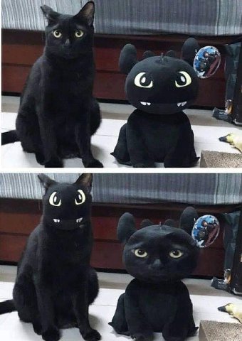с
