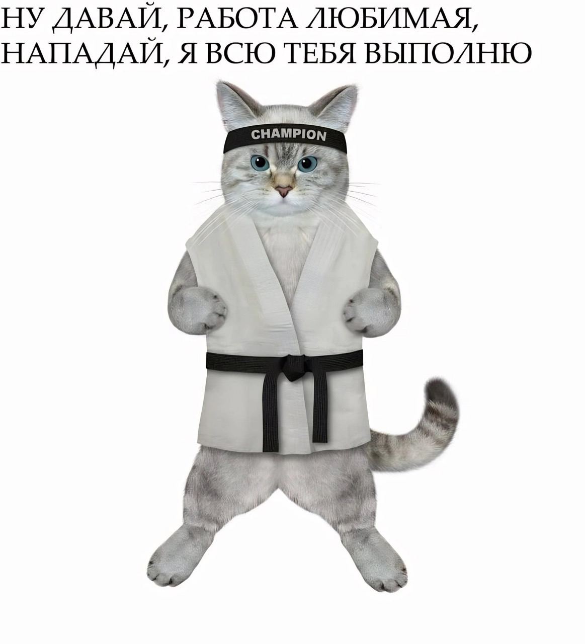 НУ ДАВАЙ, РАБОТА ЛЮБИМАЯ, НАПАДАЙ, Я ВСЮ ТЕБЯ ВЫПОЛНЮ 8: