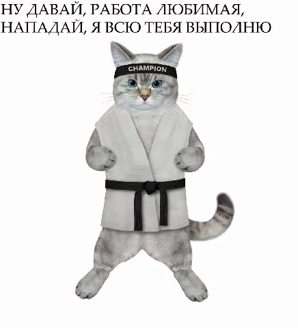 НУ ДАВАЙ, РАБОТА ЛЮБИМАЯ, НАПАДАЙ, Я ВСЮ ТЕБЯ ВЫПОЛНЮ 8: