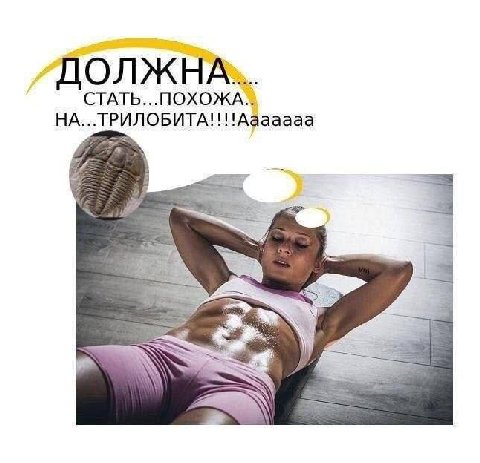 ДОЛЖНА... СТАТЬ...ПОХОЖА.. НА...ТРИЛОБИТА!!!!Ааааааа