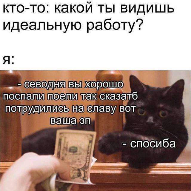 кто-то: какой ты видишь идеальную работу? OLUO nochayl сказатб плаву BOT спосиба