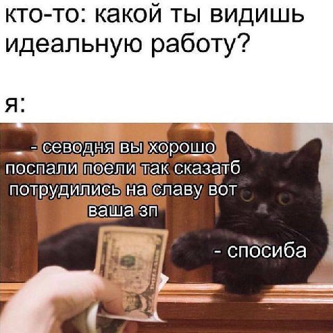 кто-то: какой ты видишь идеальную работу? OLUO nochayl сказатб плаву BOT спосиба