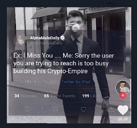 AlphaMaleDaily Miss You Me: Sorry the user you are trying to reach is too busy building his Crypto-Empire 34 65 199