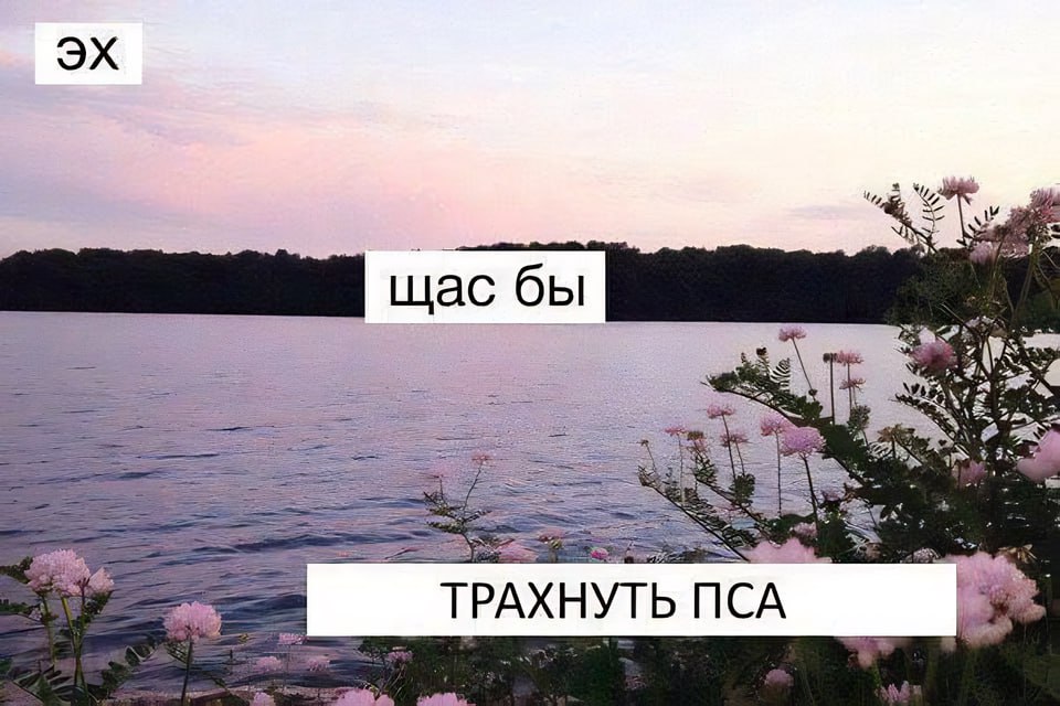 прислал Шарий через @dvachmeme_bot
