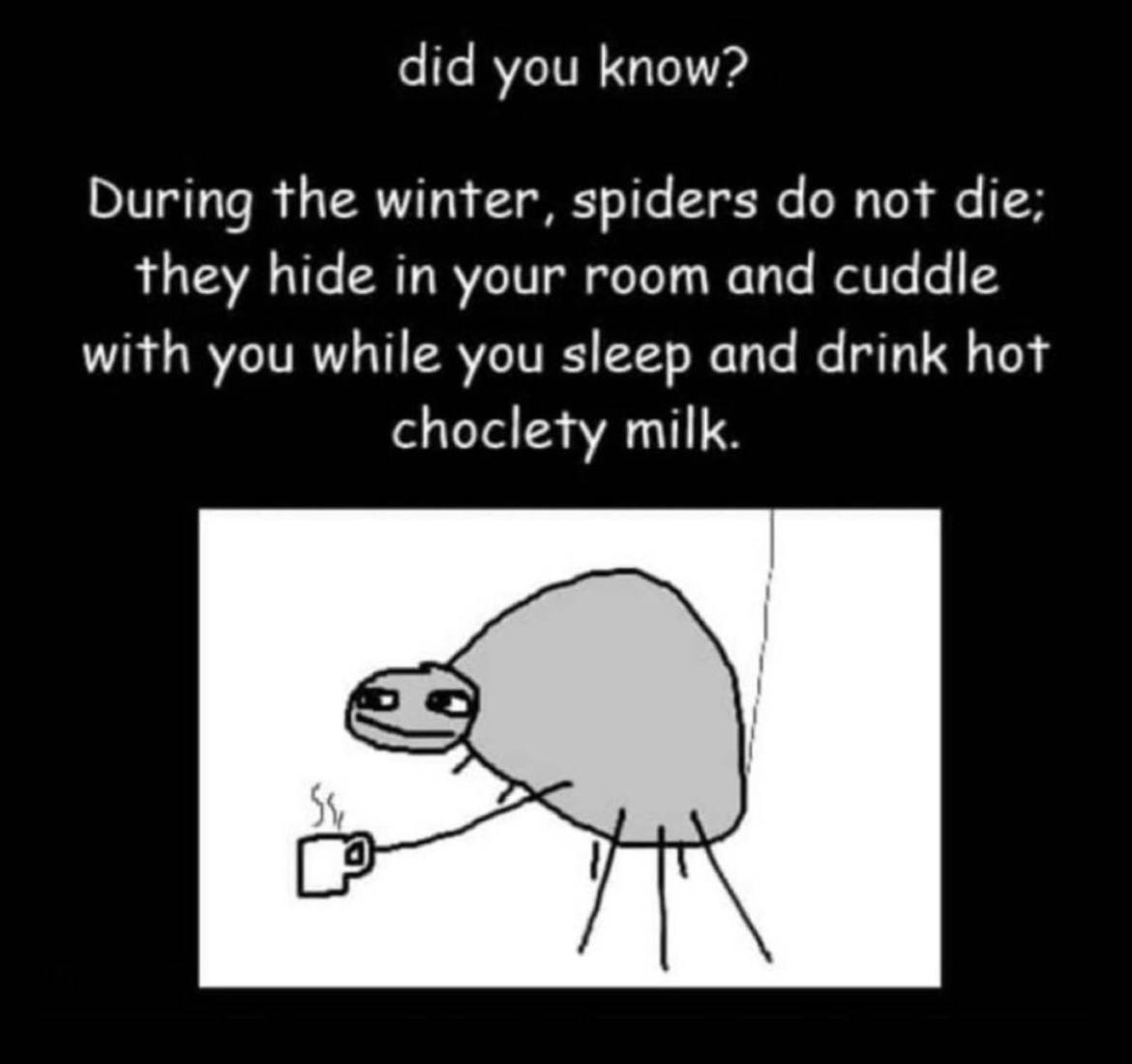 did you know? During the winter, spiders not die; they hide in your room and cuddle with you while you sleep and drink hot choclety milk.