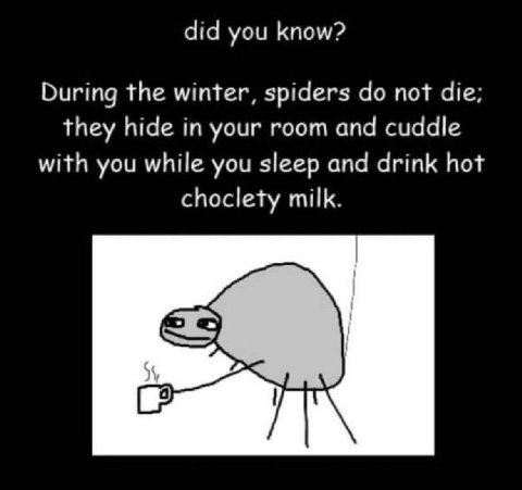did you know? During the winter, spiders not die; they hide in your room and cuddle with you while you sleep and drink hot choclety milk.