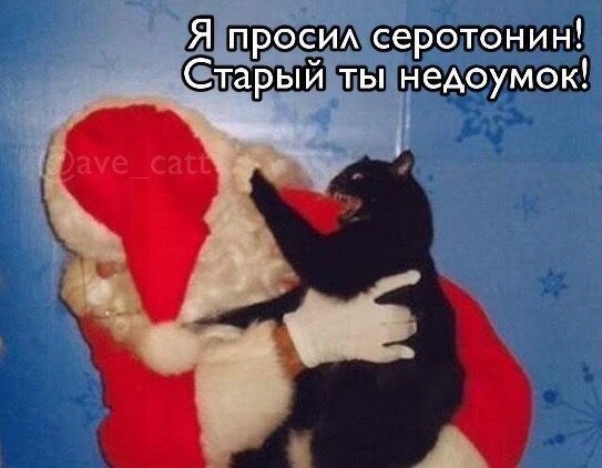 Я просил серотонин! Старый ты недоумок!