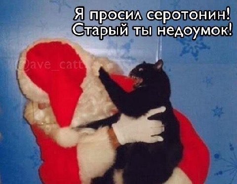 Я просил серотонин! Старый ты недоумок!