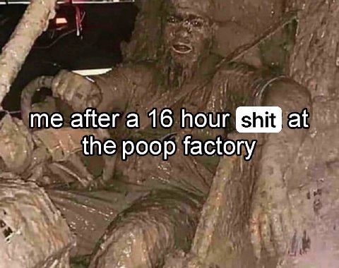 me after a 16 hour at the poop factory
