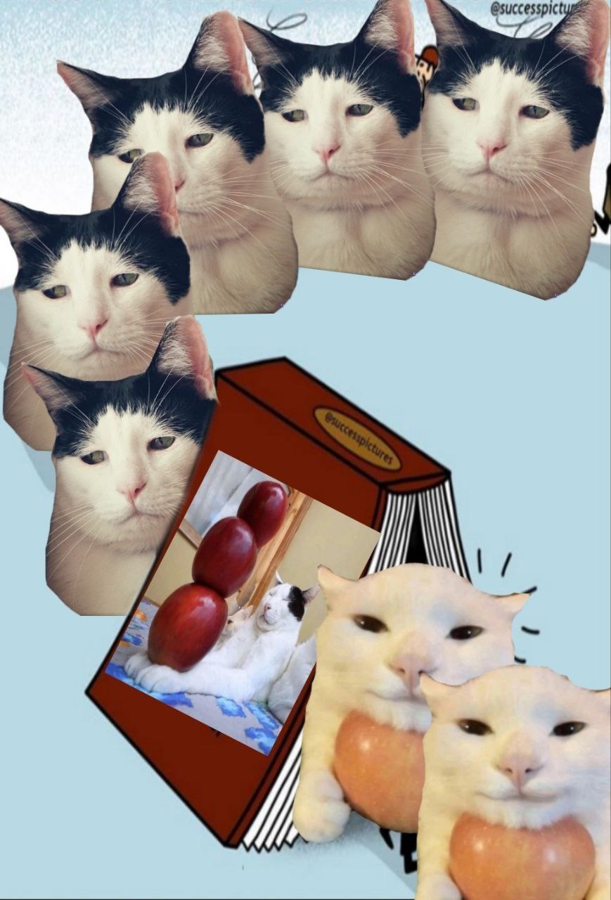 7 4 С