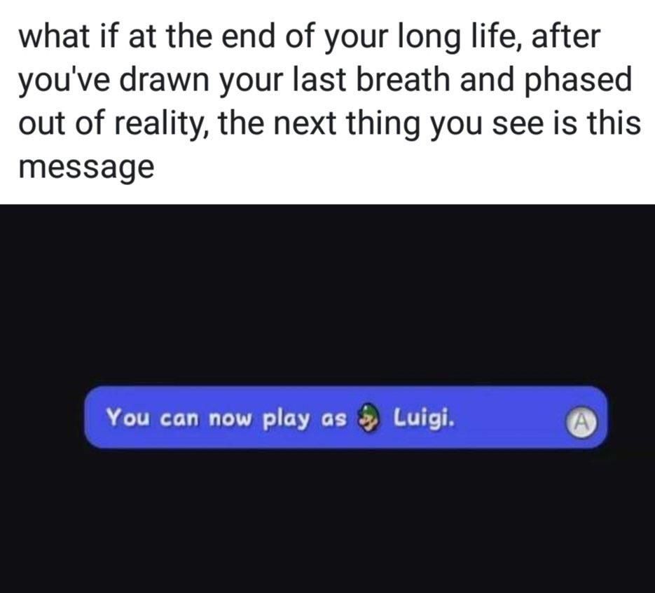 what if at the end of your long life, after youve drawn your last breath and phased out of reality, the next thing you see is this message You can now play as Luigi. (А)