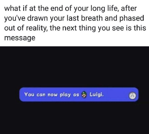 what if at the end of your long life, after youve drawn your last breath and phased out of reality, the next thing you see is this message You can now play as Luigi. (А)