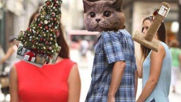 в 3 я 2 к
