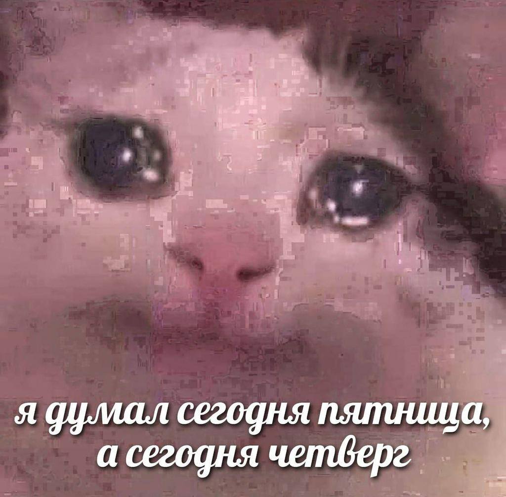 я думал сегодня пятница, а сегодня uembepe