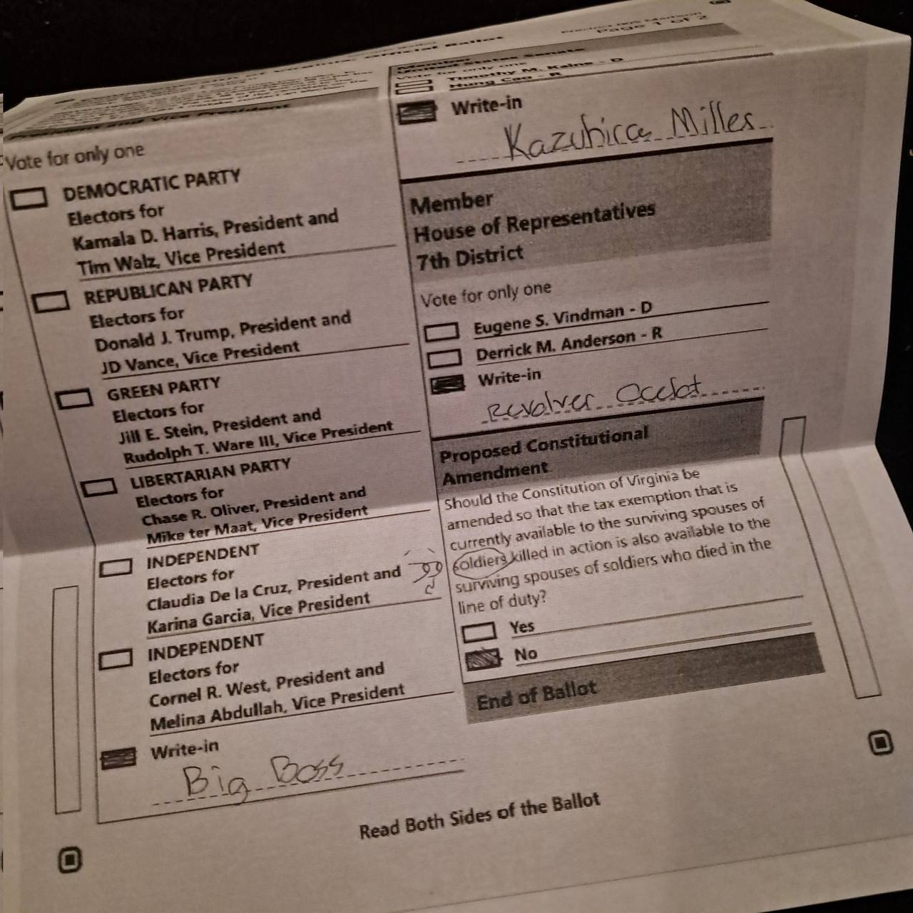 Write-in for only EMOCRATIC PARTY for president and of Representatives Presid: Walz. 7% District REPU! BLICAN PARTY Vote for only OnE for 5. president and Donald president Anderson Vance. GREEN PARTY 