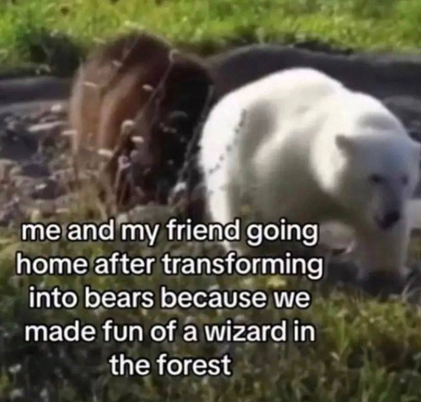 апа going home after transforming into bears because we made fun of a wizard in the forest
