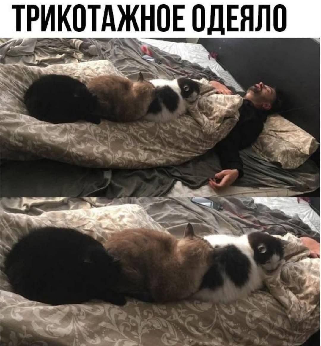 ТРИКОТАЖНОЕ ОДЕЯЛО