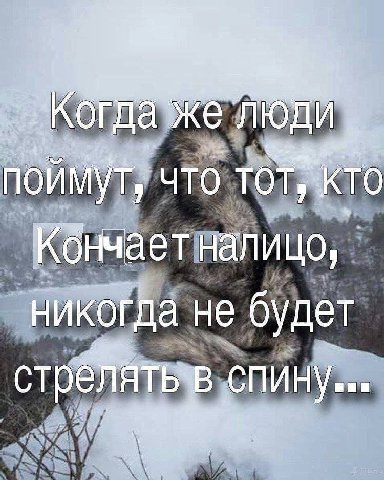 Да же поймут, что кто налицо, никогда не будет ‘спину...