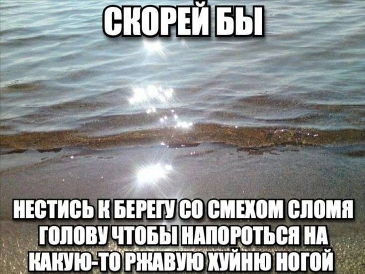НЕСТИСЬ К БЕРЕГУ СМЕХОМ СЛОМЯ ГОЛОВУ ЧТОБЫ НАПОРОТЬСЯ КАКУЮ-ТОРЖАВУЮ ХУЙНЮ НОГОЙ