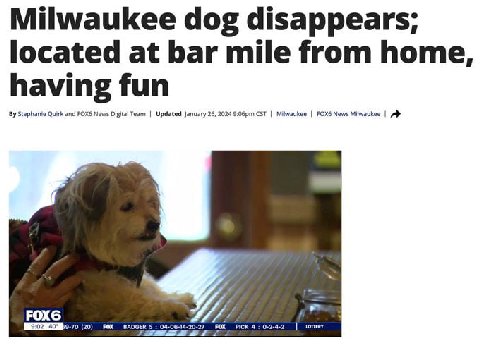 Milwaukee dog disappears; located at bar mile from home having fun Stephanie Quirk and FOX6 News Digital Team Updated January 26, 2024 CST FOX6 News Milwaukee a> FOXG 7 9-70 (20) FOX 5: 04-06-14-20-27