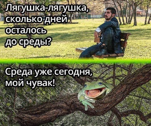 _Лягушка-ляг СКОЛЬКО, дней. среды? Среда уже сегодня мой чувак! 5: 3?