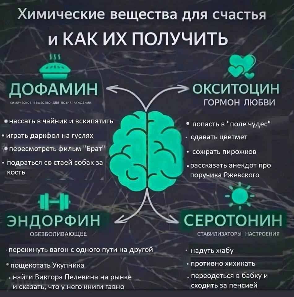 Химические вещества для счастья иКАК ПОЛУЧИТЬ $54 ОКСИТОЦИН ДОФАМИН ХИМИЧЕСКОЕ ВЕЩЕСТВО ГОРМОН ЛЮБВИ нассать в чайник и вскипятить попасть в "поле чудес" играть даркфол на гуслях сдавать цветмет перес