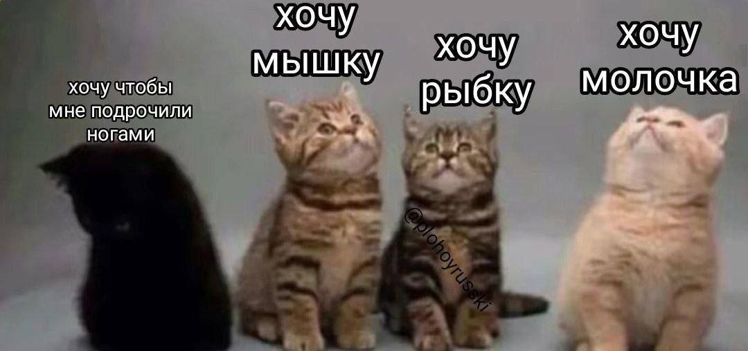 хочу хочу хочу хочу чтобы мышку мне подрочили рыбку молочка ногами