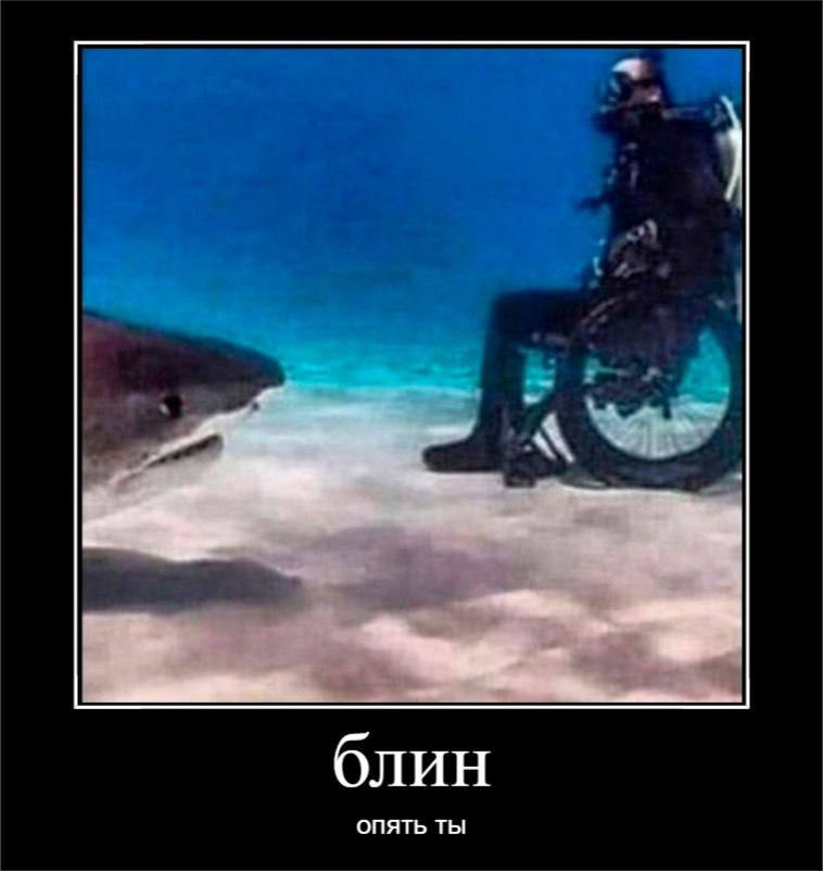 блин ОПЯТЬ ТЫ
