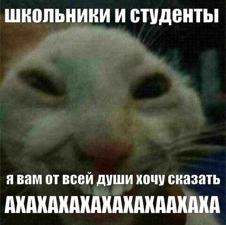 школьники СТУДЕНТЫ я вам от всей души хочу сказать АКАКАХАКАКАКАХААКАКА