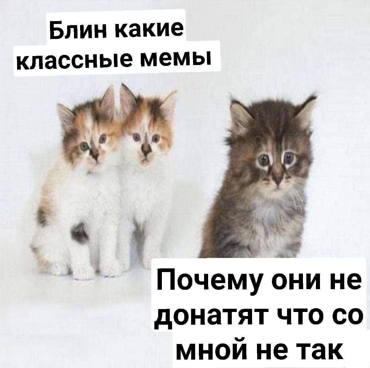 Блин какие классные мемы Почему они не донатят что мной не так