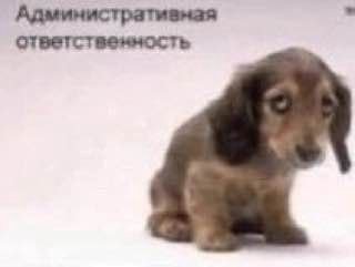 ответственность