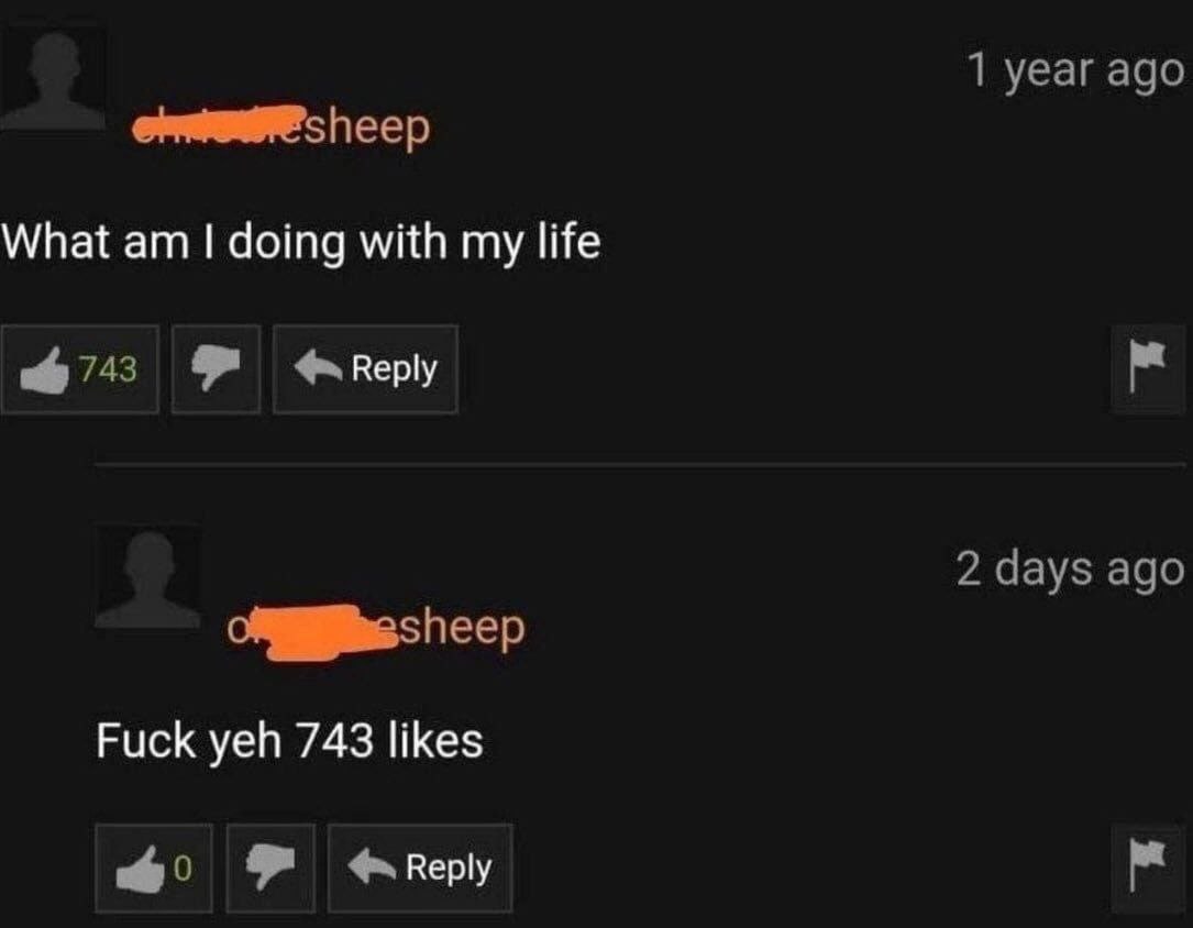 1 year ago sheep What doing with my life 743 2 days ago Fuck yeh 743 likes Reply