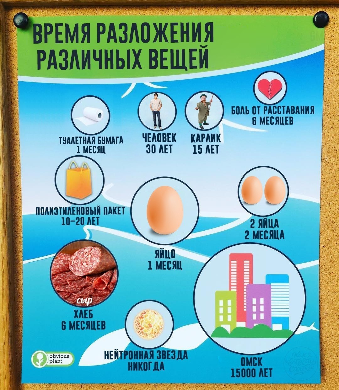 РАЗЛОЖЕНИЯ РАЗЛИЧНЫХ ВЕЩЕЙ БОЛЬ ОТ РАССТАВАНИЯ We ТУАЛЕТНАЯ БУМАГА 30 ЛЕТ 15 ЛЕТ ПОЛИЭТИЛЕНОВЫЙ ПАКЕТ 2 МЕСЯЦА 2 ЯЙЦА 1 МЕСЯЦ ЯЙЦО HE