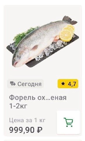 Сегодня 47 Форель ох...еная Цена за 1 о 999,90