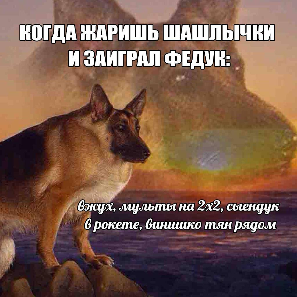КОГДА ЖАРИШЬ И ЗАИГРАЛ ФЕДУН: на смендук 6 рокете, винишко тян рядом
