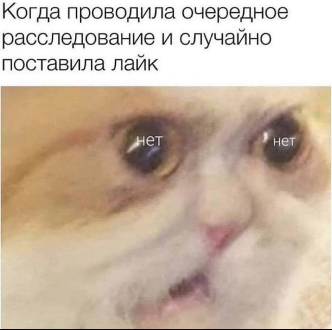 Когда проводила очередное расследование и случайно поставила лайк нет нет