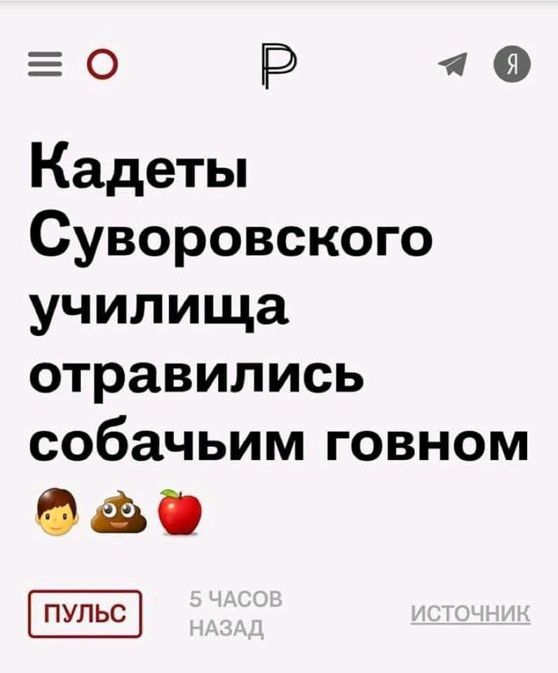 я Кадеты Суворовского училища отравились собачьим говном