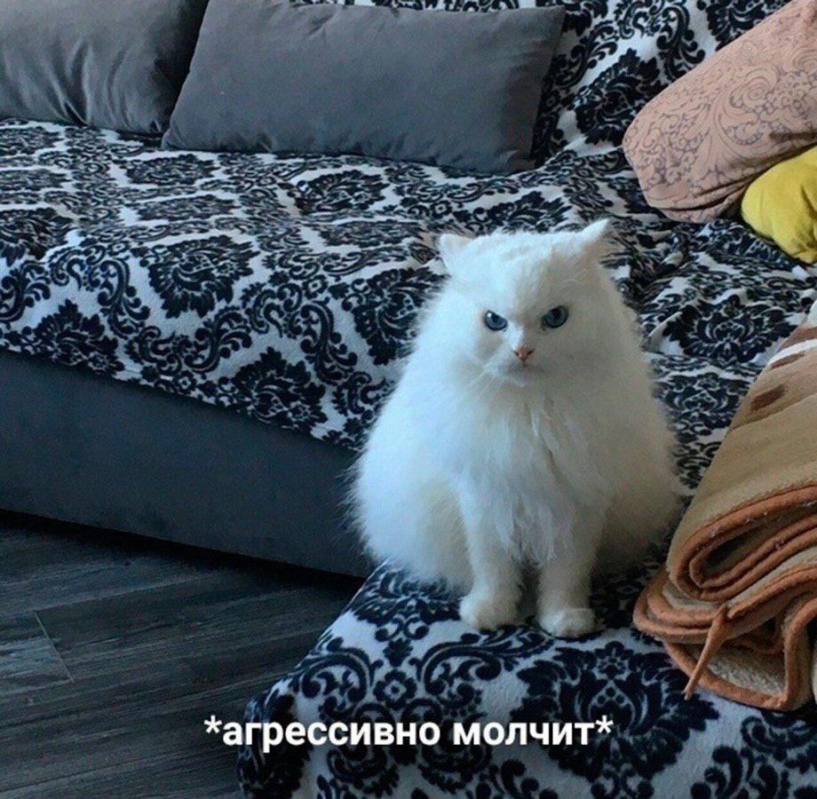 *агрессивно молчит*